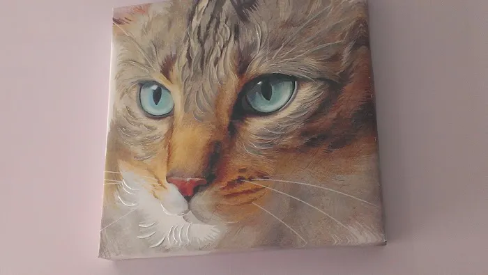 Oak Glen Animal Hospital 6