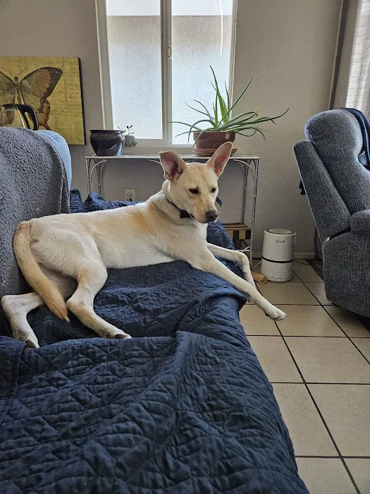 Oak Glen Animal Hospital 3