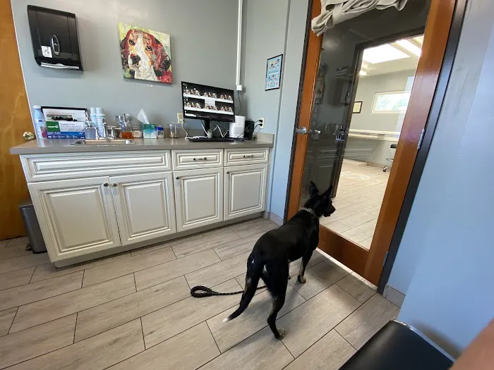 Green Valley Veterinary Clinic 6