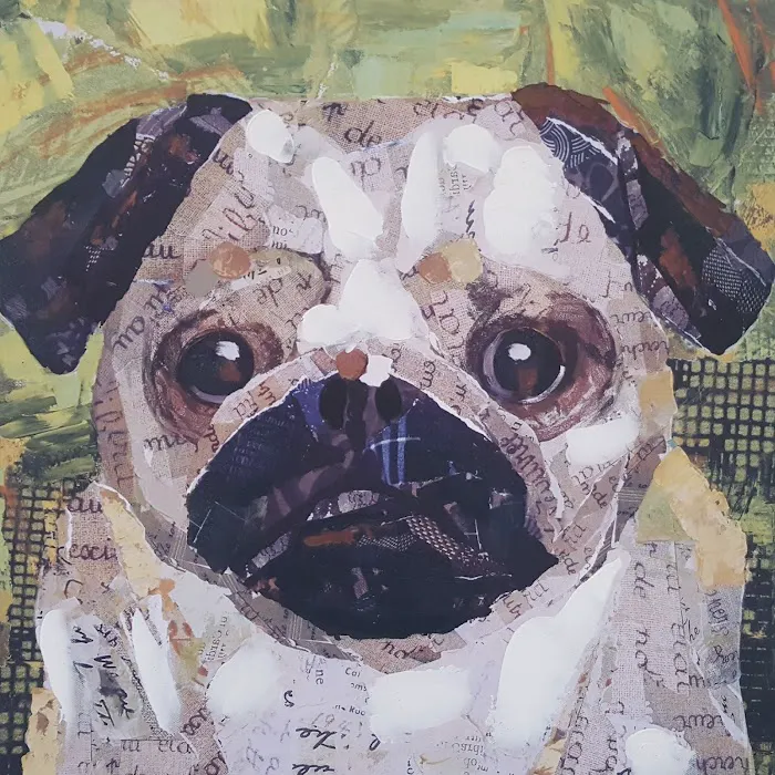 Green Valley Veterinary Clinic 8