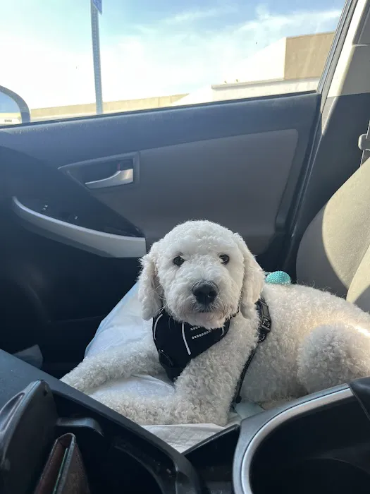 Oak Valley Animal Hospital 9