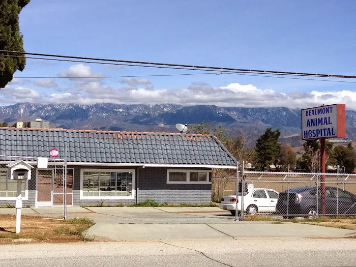 Beaumont Animal Hospital 5