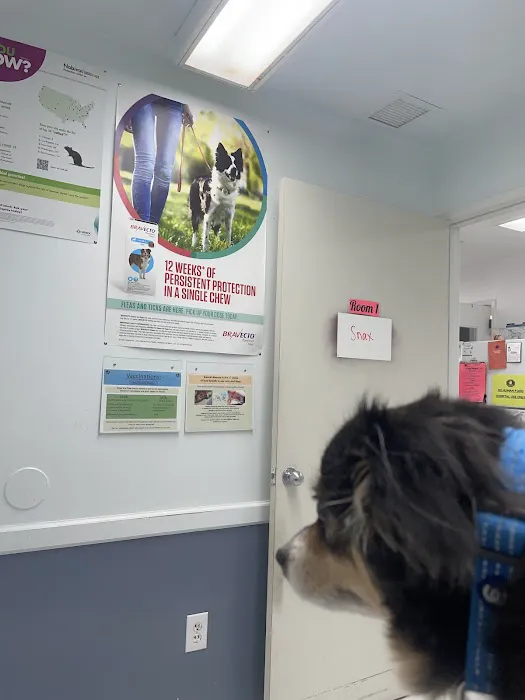 Beaumont Animal Hospital 1