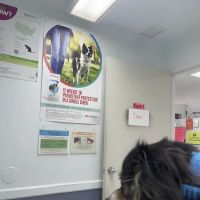 Beaumont Animal Hospital ico