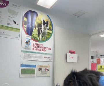 Beaumont Animal Hospital