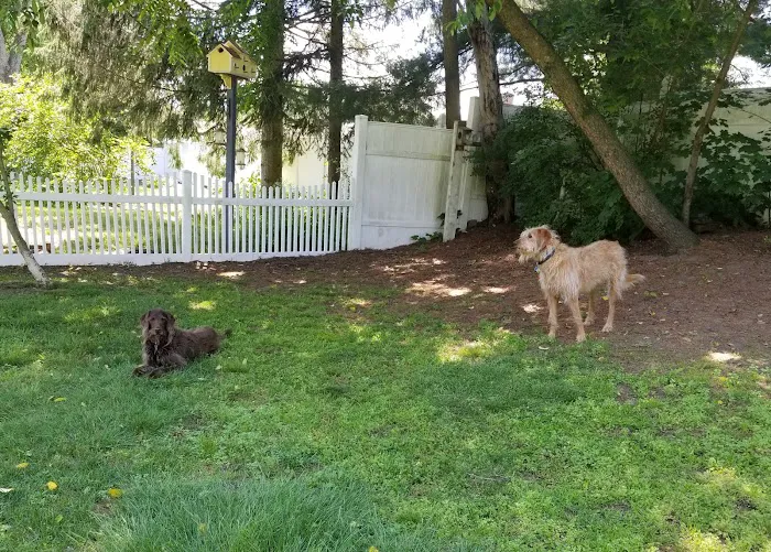 Windsor Animal Clinic 12