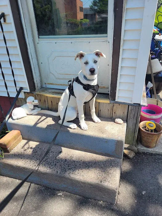 East Hartford Animal Clinic 12