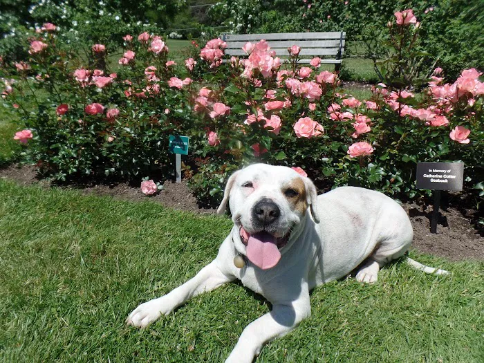 East Hartford Animal Clinic 12