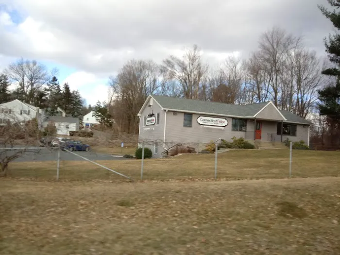 Connecticut Feline Medicine and Surgery 12