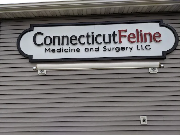 Connecticut Feline Medicine and Surgery 12