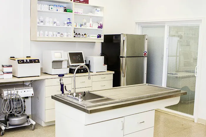 Vet For Pet Animal Clinic 12
