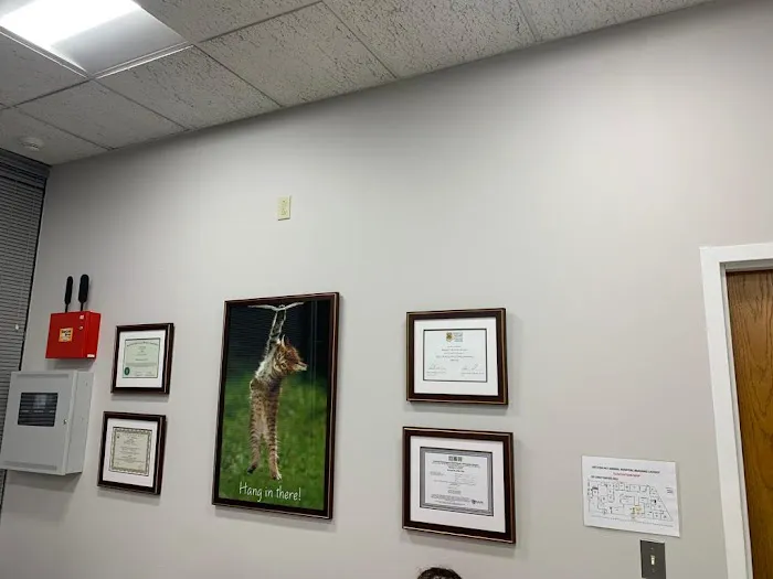 Vet For Pet Animal Clinic 12