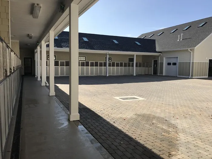 River Valley Animal Center 2