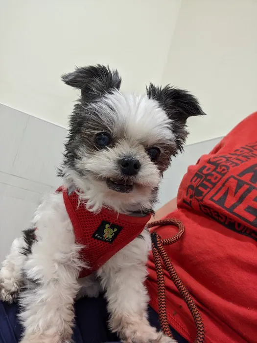 River Valley Animal Center 9