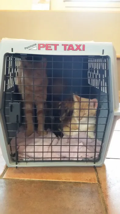 VCA Southwick Animal Hospital 1