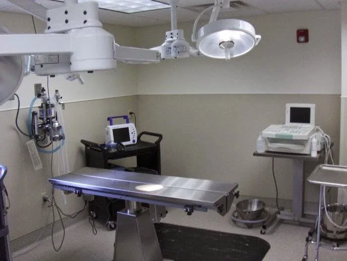 VCA Southwick Animal Hospital 7
