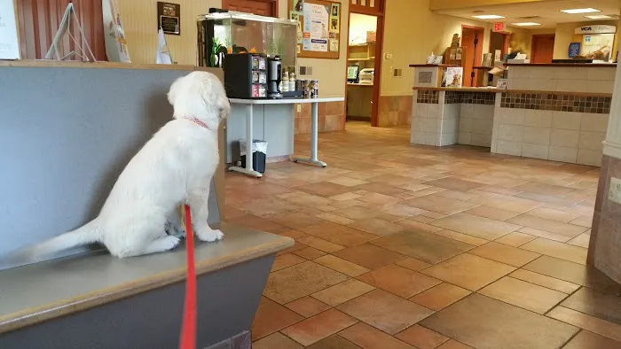 Southwick Animal Hospital: Burgess Margaret E DVM 1