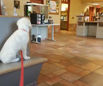 Southwick Animal Hospital: Burgess Margaret E DVM