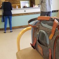 Suffield Veterinary Hospital ico