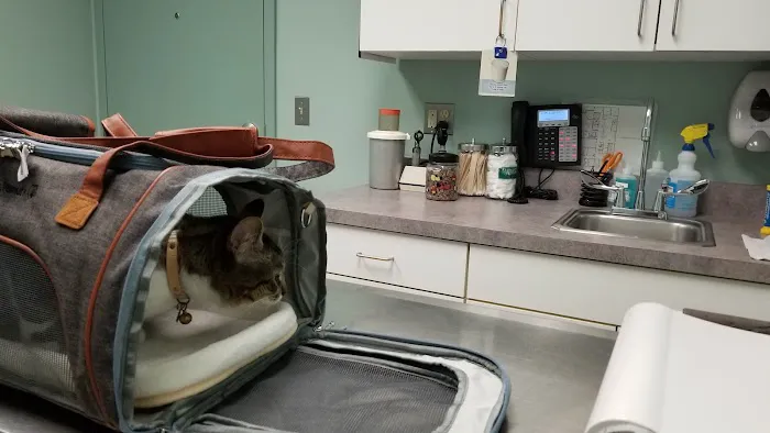 Suffield Veterinary Hospital 9