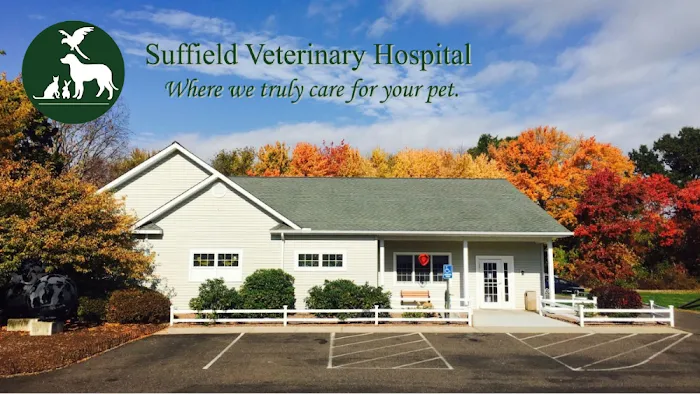 Suffield Veterinary Hospital 10