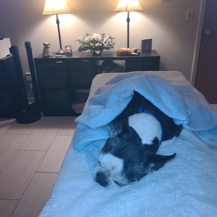 VCA Valley Animal Hospital 12