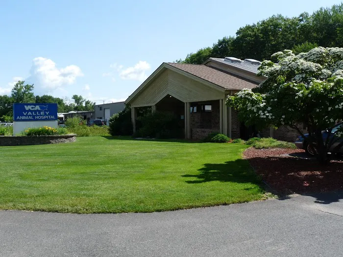 VCA Valley Animal Hospital 12