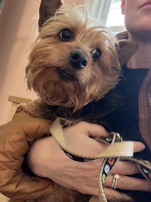 Connecticut Mobile Veterinary Services, LLC 12