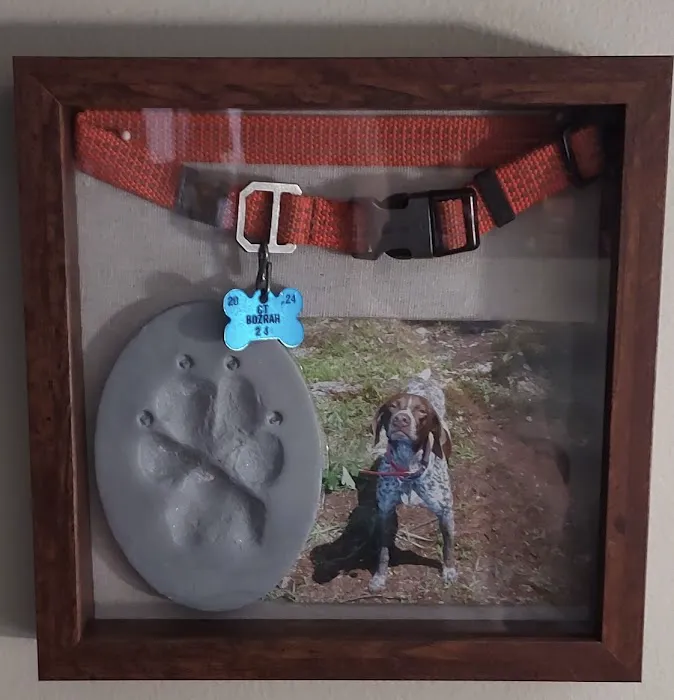 Connecticut Mobile Veterinary Services, LLC 12