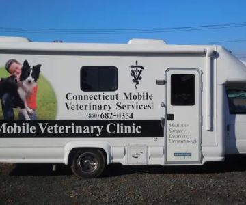 Connecticut Mobile Veterinary Services, LLC