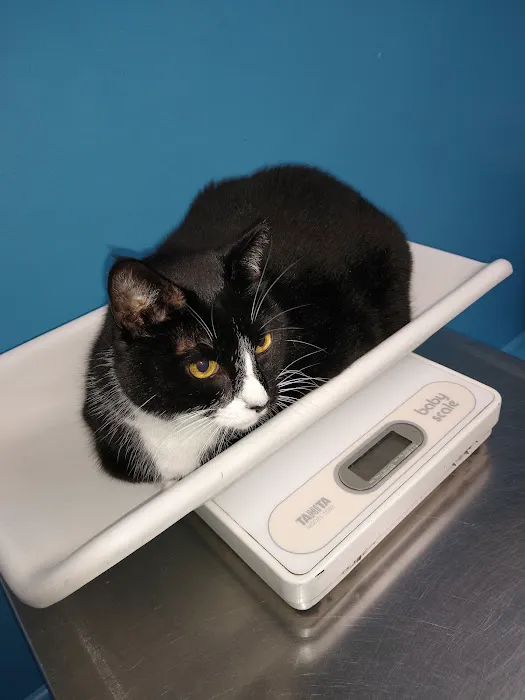 Union St Veterinary Hospital 5