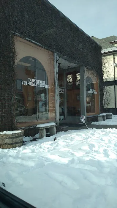 Union St Veterinary Hospital 7