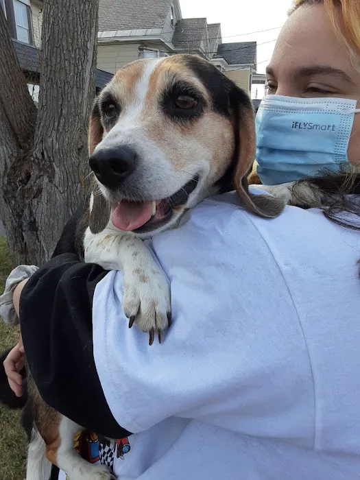 Union St Veterinary Hospital 4