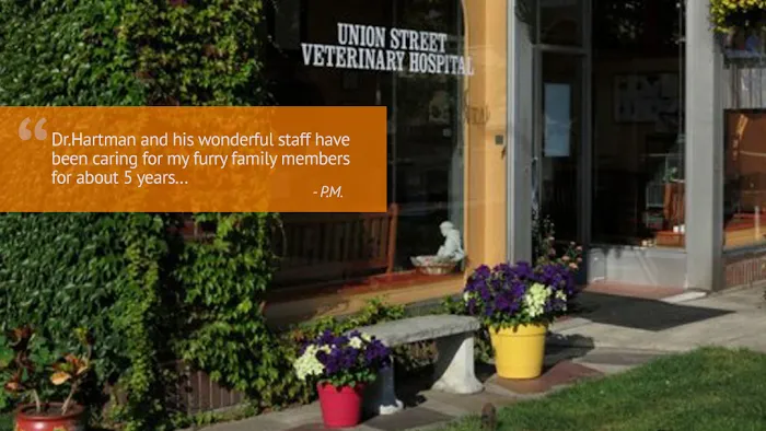Union St Veterinary Hospital 10