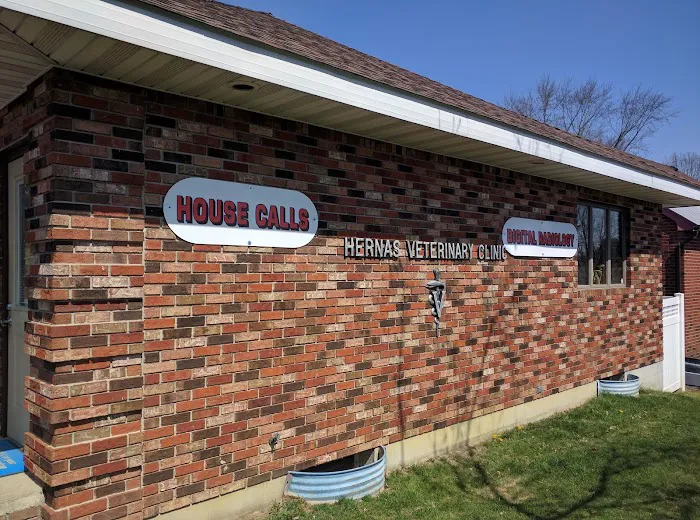Hernas Veterinary Clinic 1