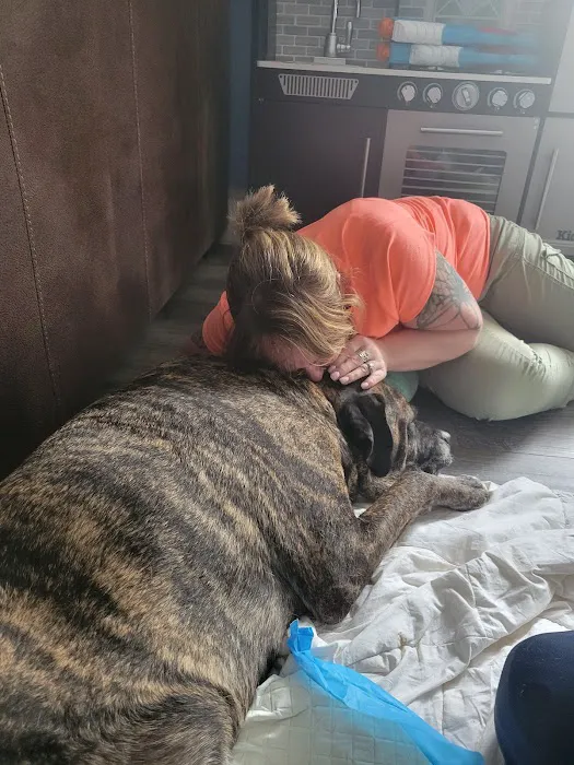 Hernas Veterinary Clinic 9