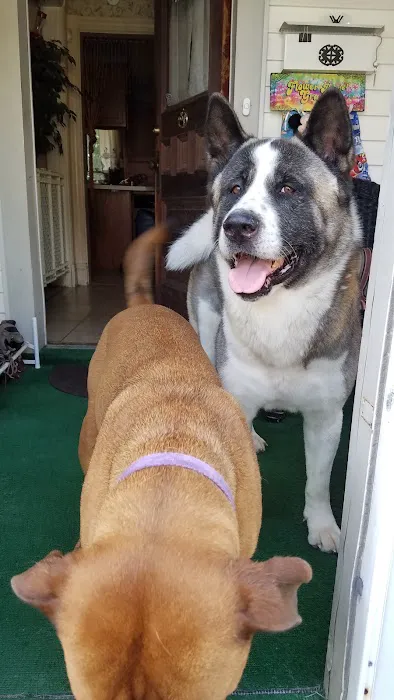 Hernas Veterinary Clinic 3