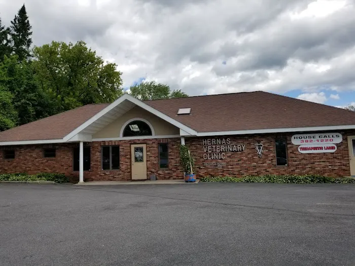 Hernas Veterinary Clinic 8