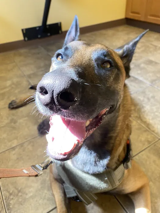 River Road Animal Hospital 2