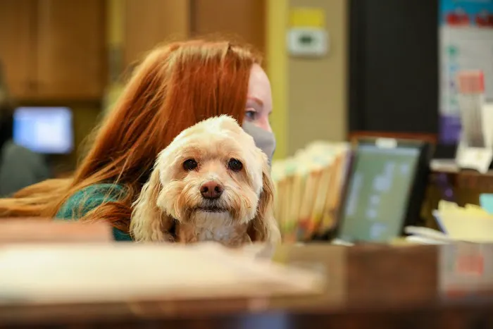 River Road Animal Hospital 9