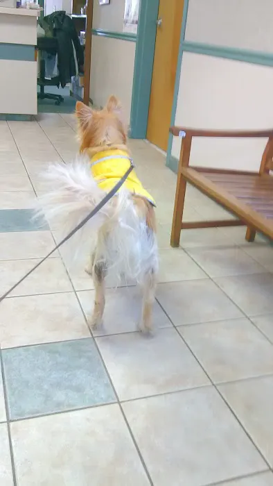Halfmoon Veterinary Hospital 1