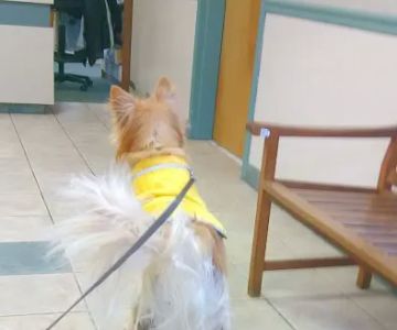 Halfmoon Veterinary Hospital