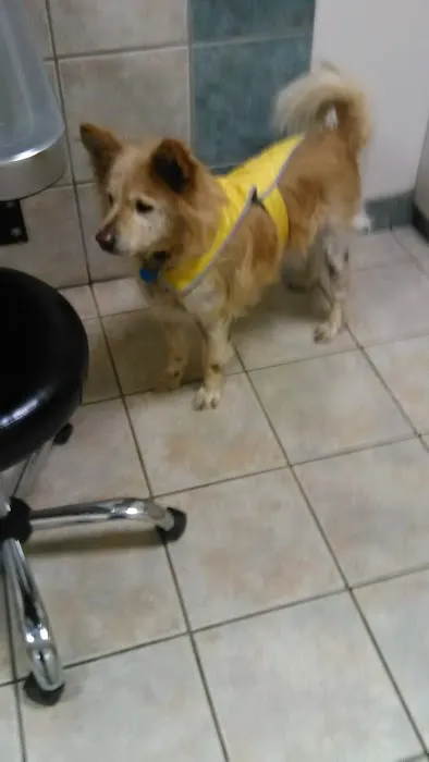 Halfmoon Veterinary Hospital 5