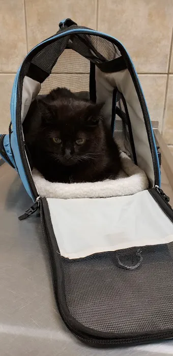 Halfmoon Veterinary Hospital 8