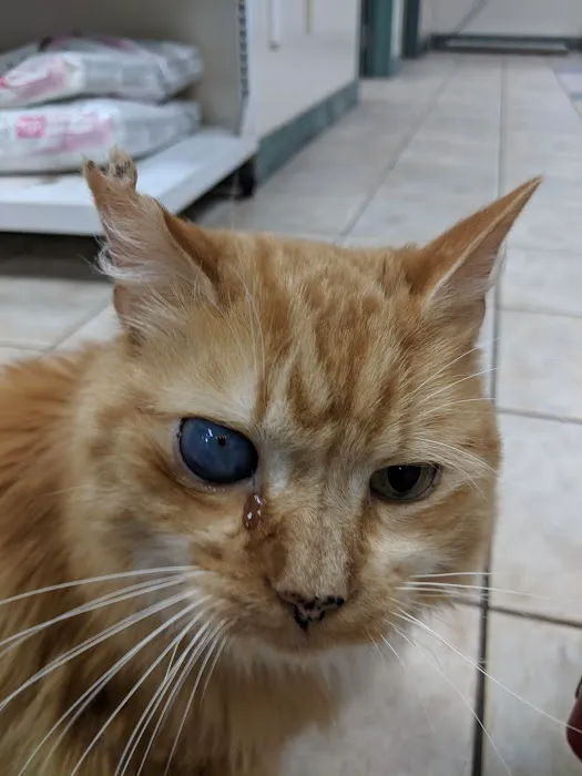 Halfmoon Veterinary Hospital 4