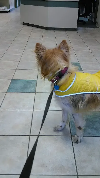 Halfmoon Veterinary Hospital 6