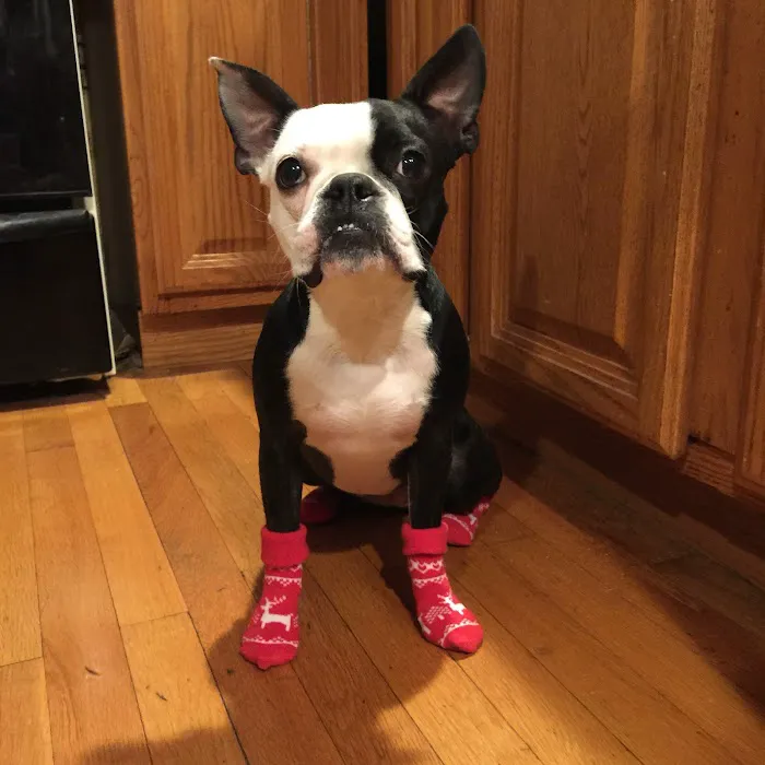 Moodus Veterinary Practice 12