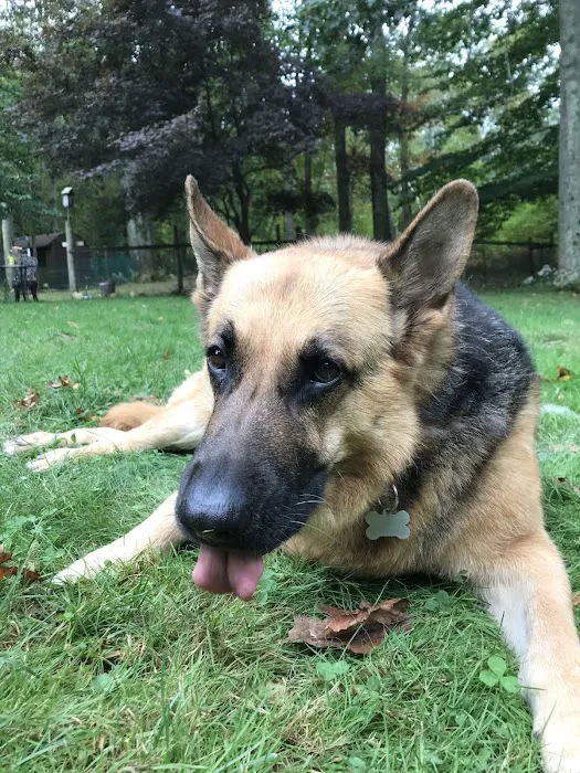 Moodus Veterinary Practice 12
