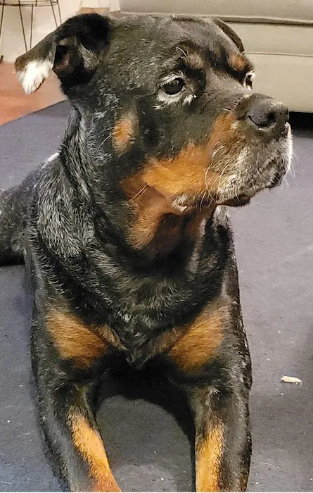 Moodus Veterinary Practice 12