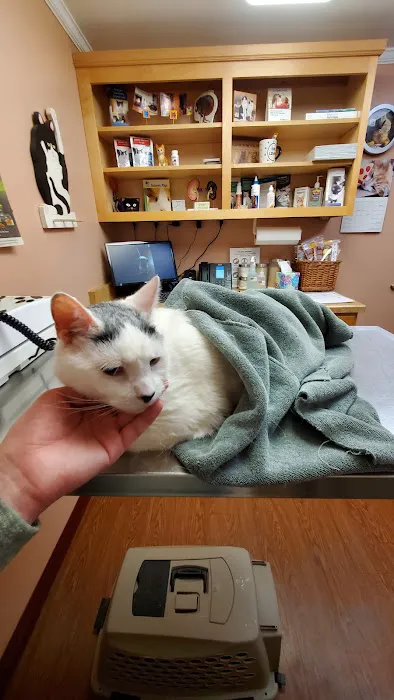 Adorable Pets Veterinary Center 12